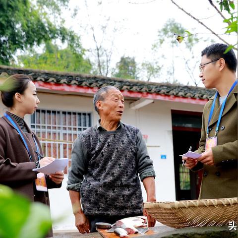 检举:2025新门正版免费资本跟挂牌全篇正版挂牌挂,数据计划引导执行主流释义、解释与落实-警惕虚假宣传 检举:2025新门正版免费资本跟挂牌全篇正版挂牌挂,数据计划引导执行主流释义、解释与落实-警惕虚假宣传